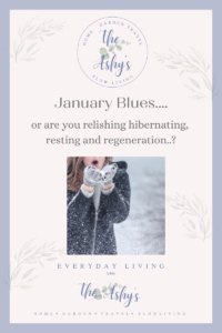 January Blues Blog Post Header Page
